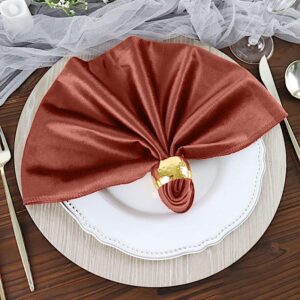 BalsaCircle Velvet Napkins Review