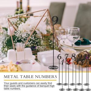 Therwen 20 Pcs Metal Table Numbers Review